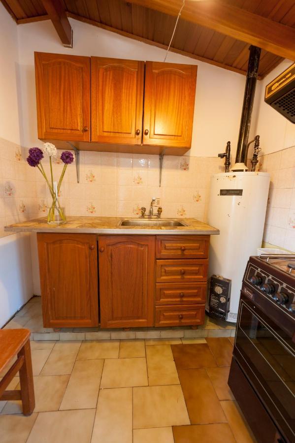 Depto Centrico Vistas 360 Apartman San Martín de los Andes Kültér fotó